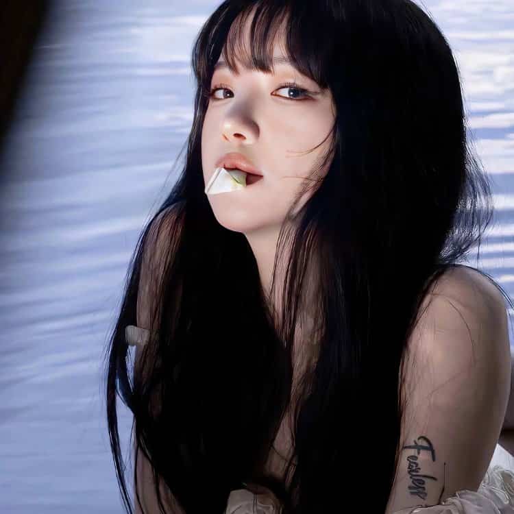 夏日清凉泳池写真