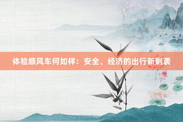 体验顺风车何如样：安全、经济的出行新剿袭