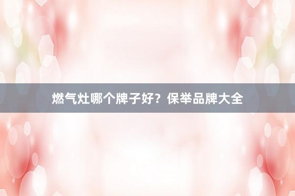 燃气灶哪个牌子好？保举品牌大全