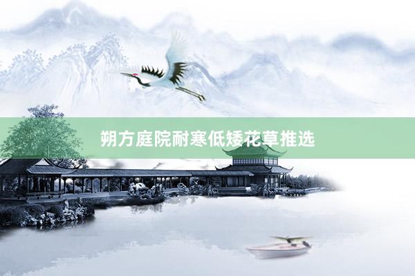 朔方庭院耐寒低矮花草推选