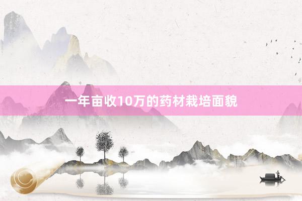一年亩收10万的药材栽培面貌
